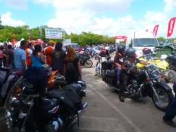 XIX Concentracion - 2012